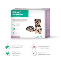 Medias de poliéster para Mascotas Generico